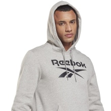 Reebok Kapuzenpullover Identity Fleece Hoodie grau Herren